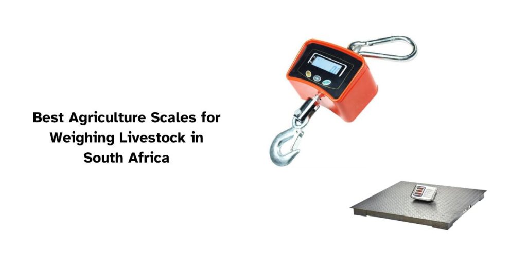 Best agriculture scales for weighing livestock in South Africa