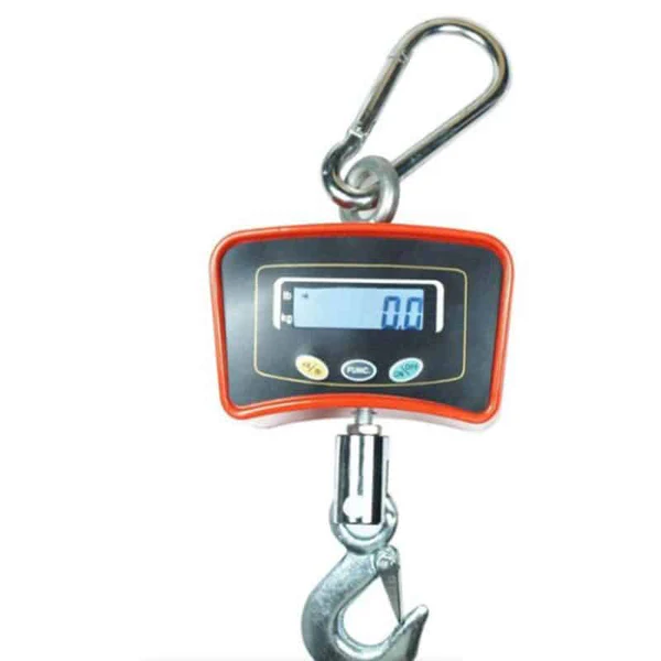 mini crane scale 500kg mini crane scale 500kg