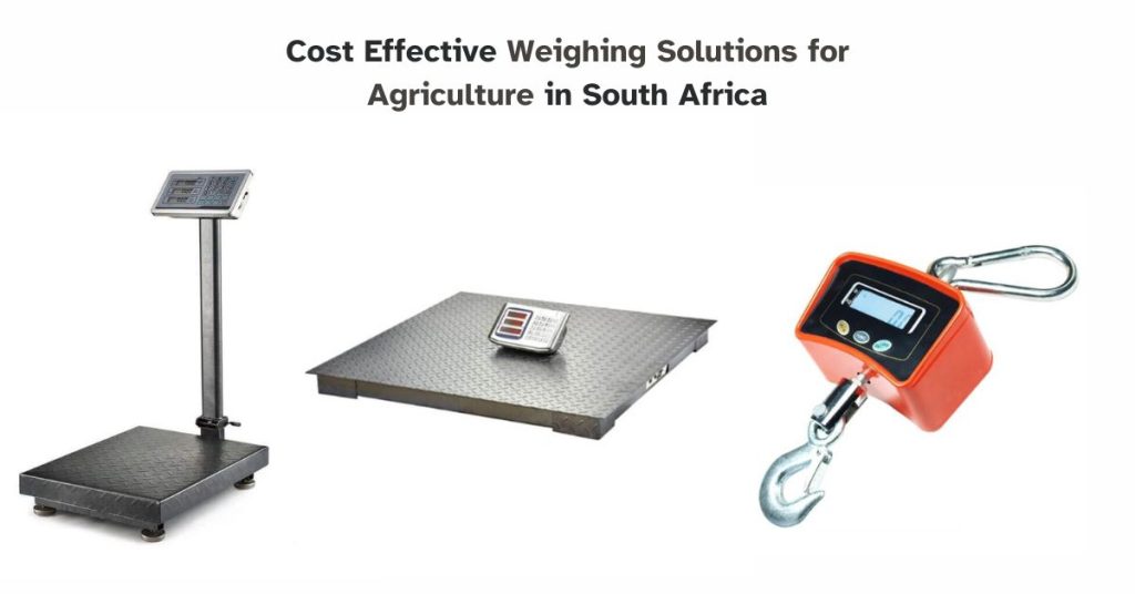 Cost effective weighing solutions for agriculture in south africa